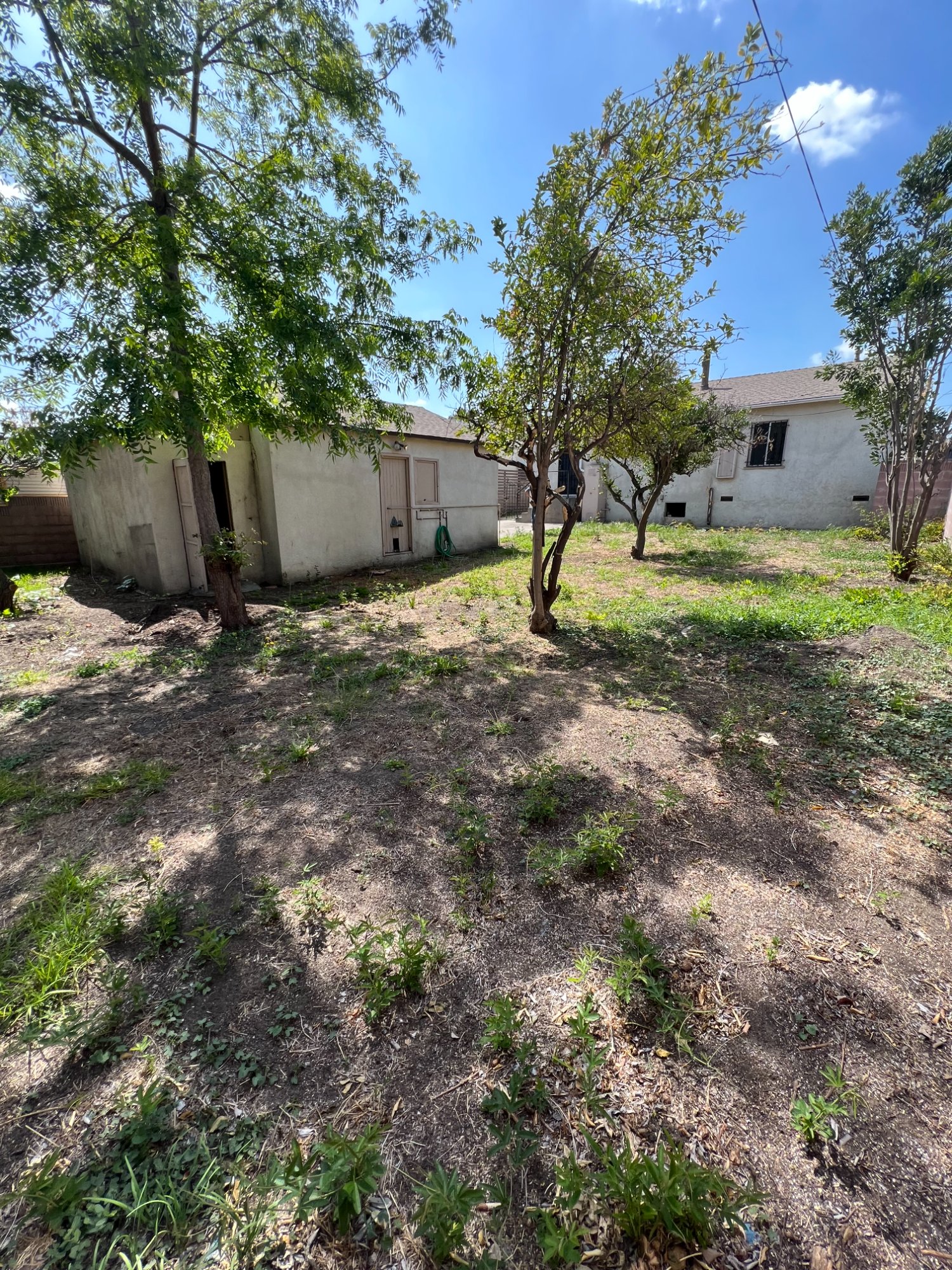 Backyard Before